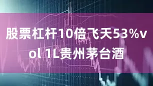 股票杠杆10倍飞天53%vol 1L贵州茅台酒